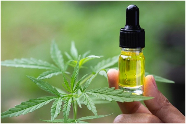 5 Things You Need To Know About CBD Oil Tincture